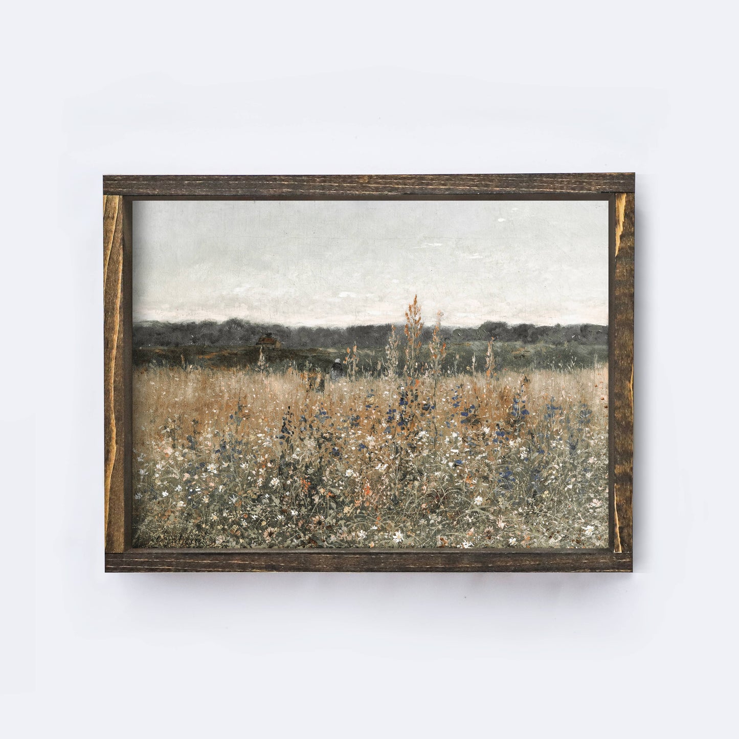 Vintage Print Framed | WildFlowers A22: Aged Farmhouse / 8.5x7"