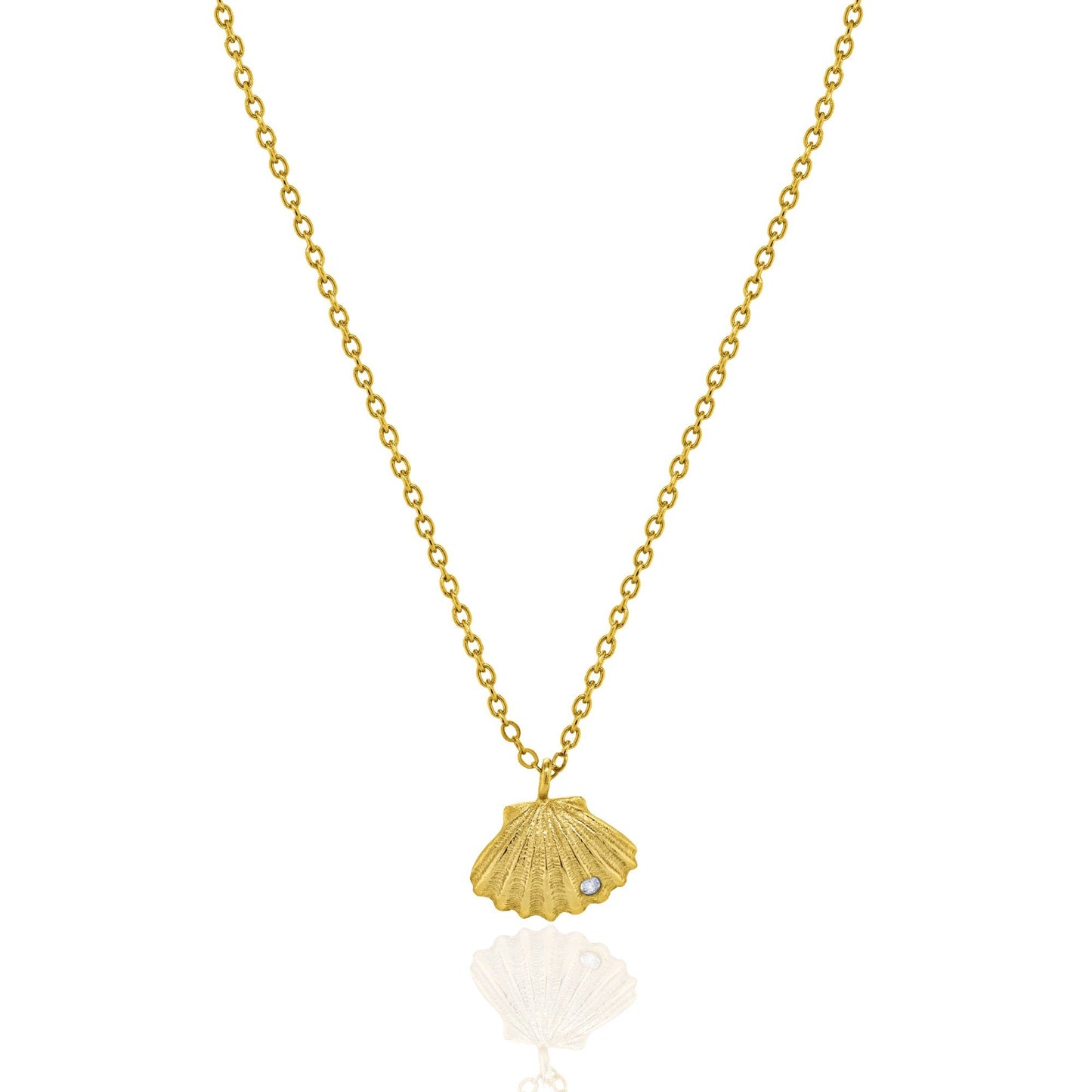 Seashell Necklace