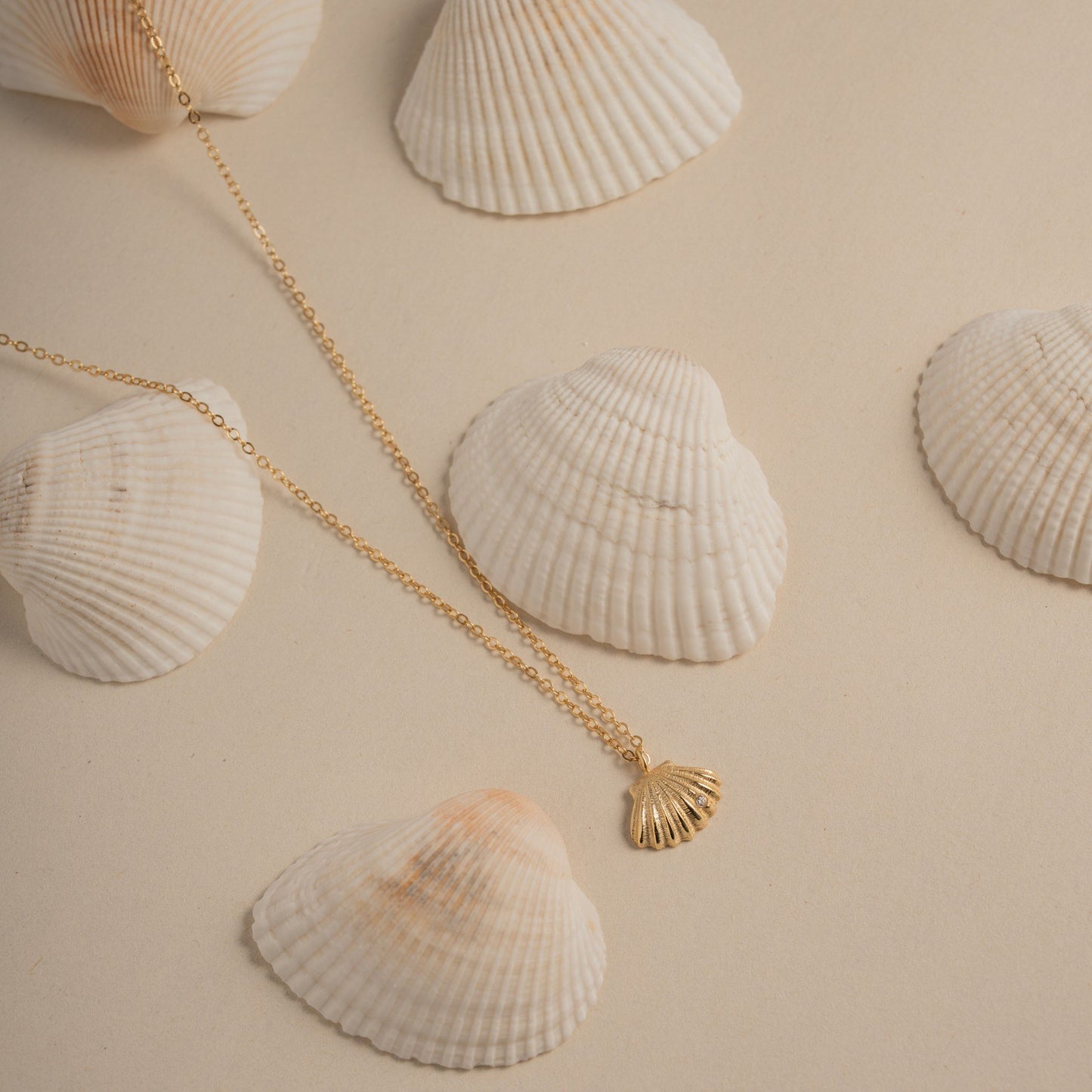 Seashell Necklace