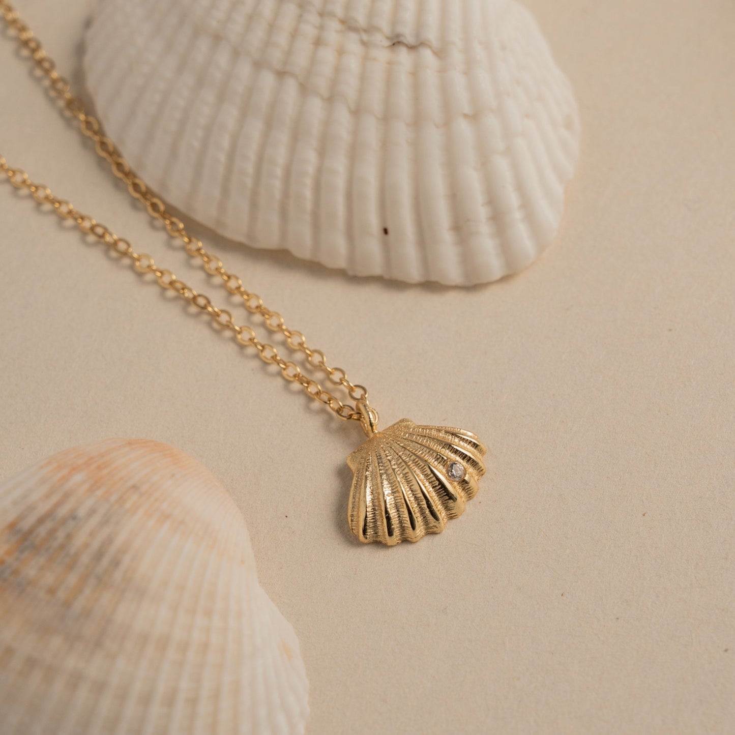 Seashell Necklace