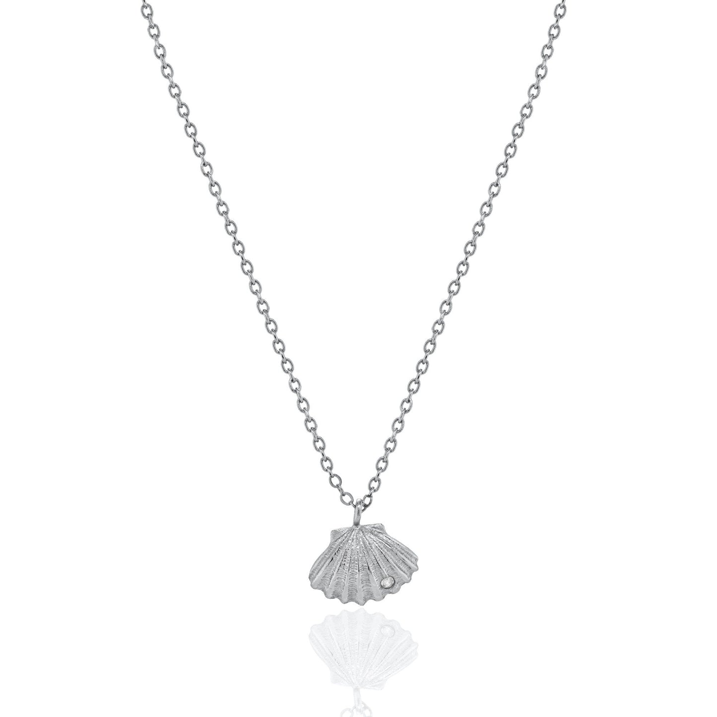 Seashell Necklace
