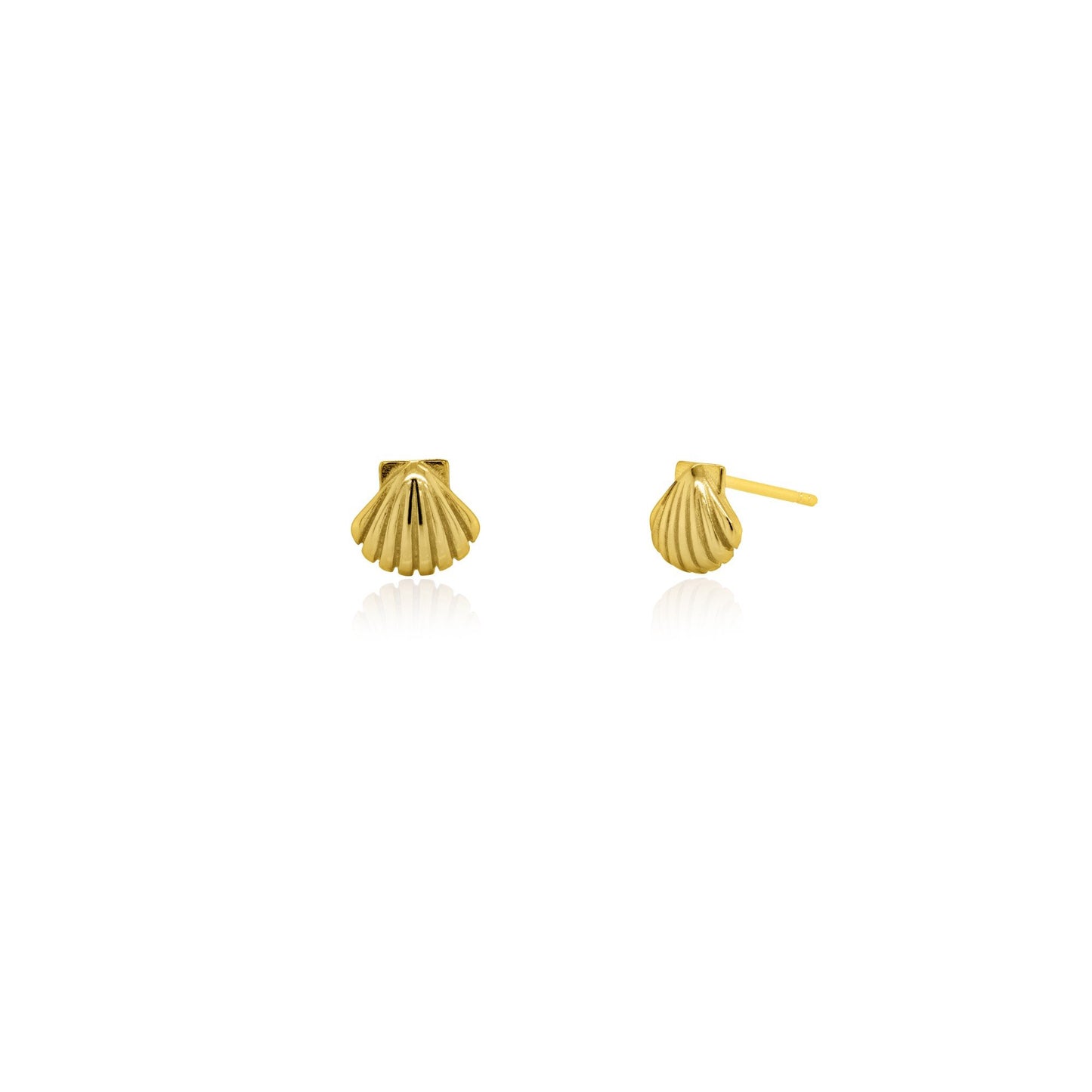 Seashell Studs