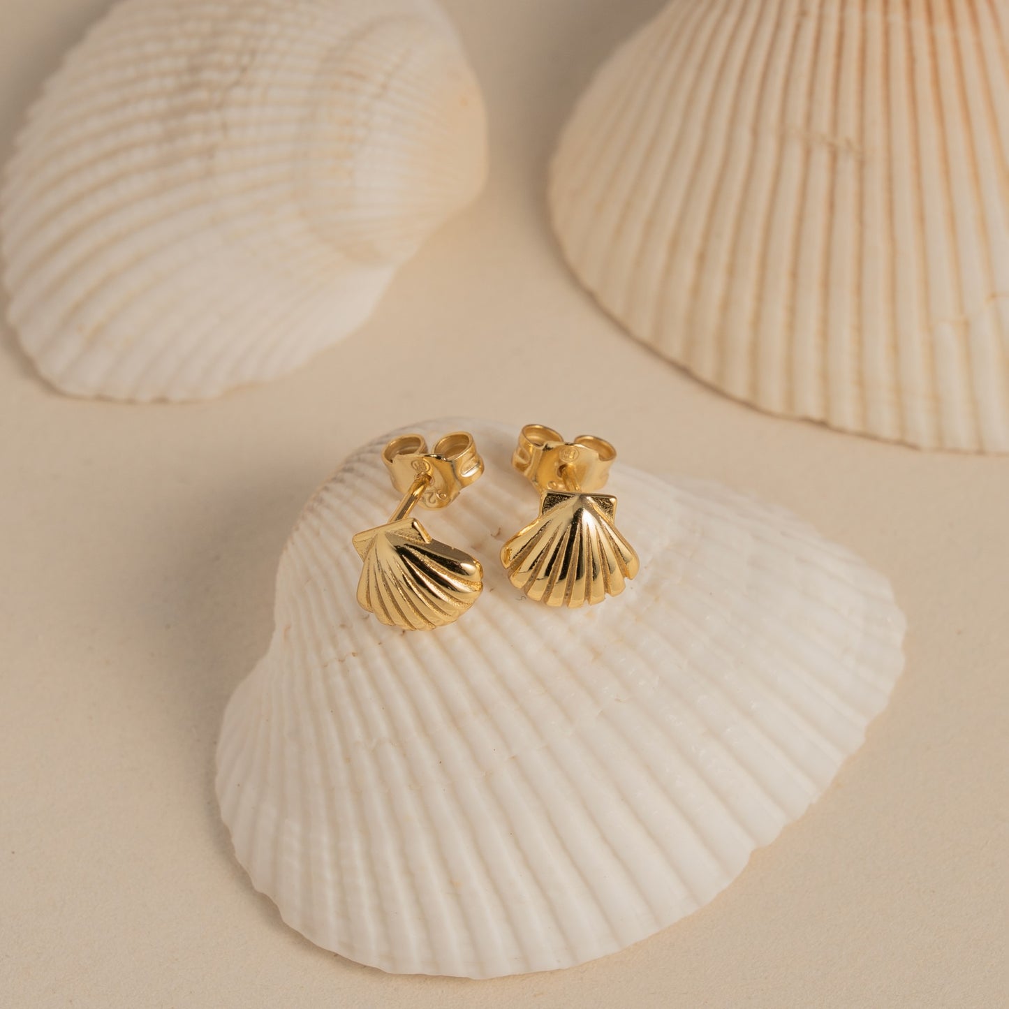 Seashell Studs