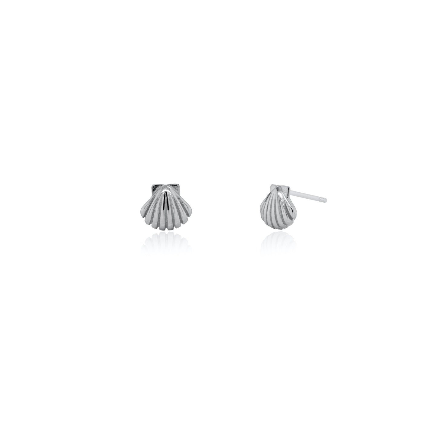 Seashell Studs