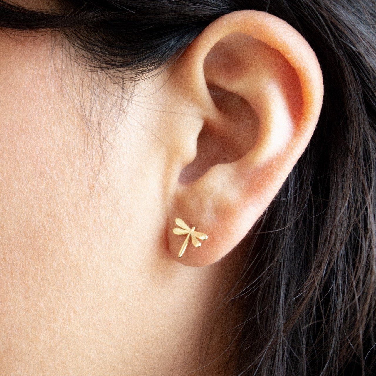 Dragonfly Studs