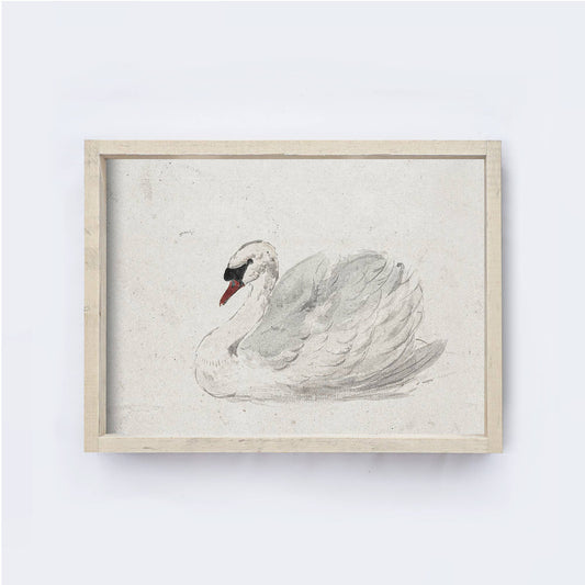 Vintage Art Print Framed | White Swan Painting A98: Aged Farmhouse / 8.5x7"