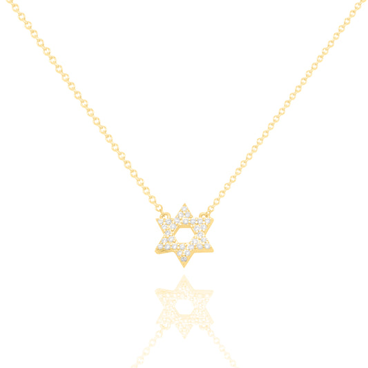 Delicate Sparkly Star of David Necklace