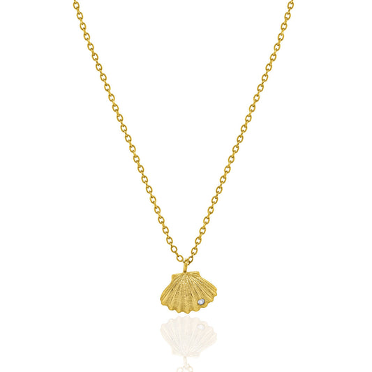 Seashell Necklace