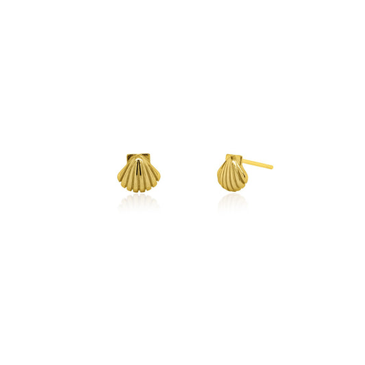 Seashell Studs